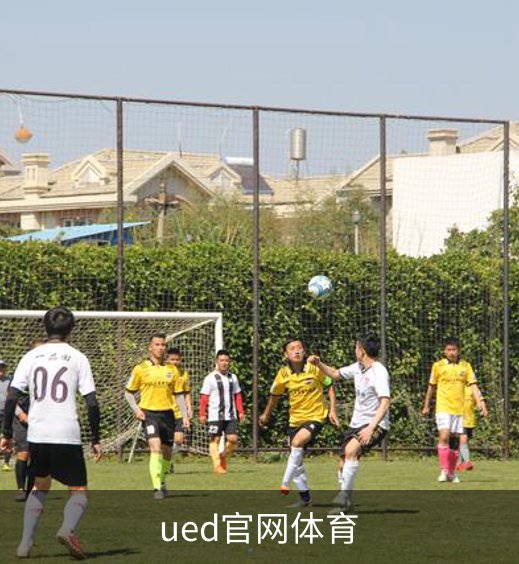 关于ued官网体育